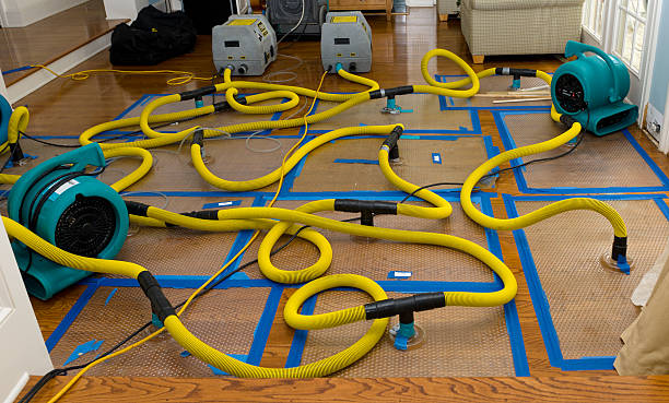 Professional Crawl Space Water Removal technician working in Pleasureville, KY